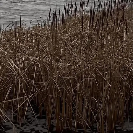 N°1 Loft Am Yachthafen דירה