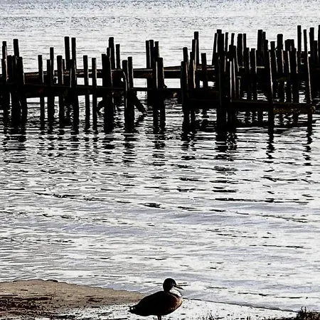 N°1 Loft Am Yachthafen דירה