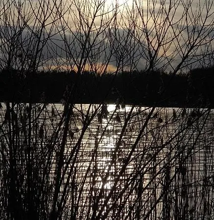 N°1 Loft Am Yachthafen באד צווישנהם